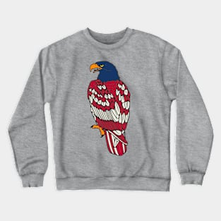 American Eagle USA Flag Crewneck Sweatshirt